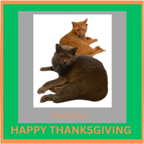 Shipping schedule - Picture 3 of 3